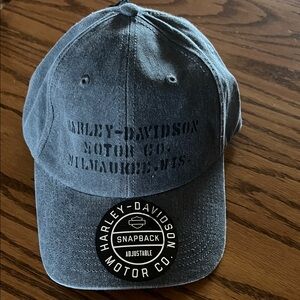 Harley-Davidson Gray Adjustable Cap